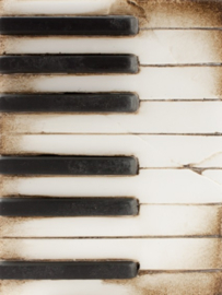 T45 Piano Keys Sid Dickens tegel
