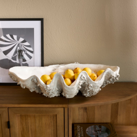 595260 Shell Oceanis Decoration XL