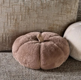 Autumn kussen Pumpkin Faux Fur Box S Riviera Maison 585870