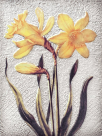 T510 Daffodils Sid Dickens Tegel @