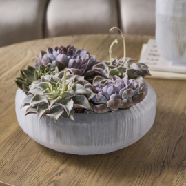 593560 Altea Decoration Bowl Riviera Maison
