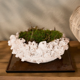 595190 Seavelle Decoration Bowl 