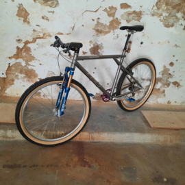 GT Silver Lightning 1x9 sp Garbaruk