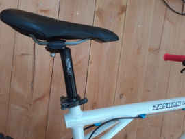 GT Zaskar 1993?