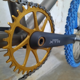 GT Blue Lightning 1x8 sp Garbaruk