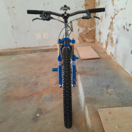 GT Silver Lightning 1x9 sp Garbaruk