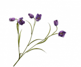 Silk-ka Fritillaria tak kleur lavendel 64 cm.