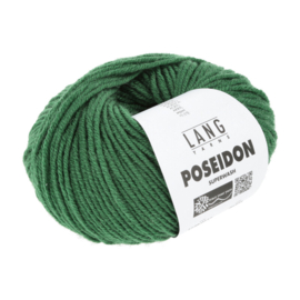 Lang Yarns Poseidon, kleur 117