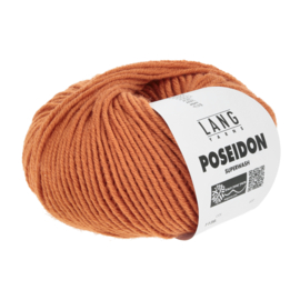 Lang Yarns Poseidon, kleur 59