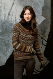Lang Yarns breiboek Fam 227, color
