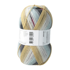 Twin Soxx 4ply | 557 Wetland