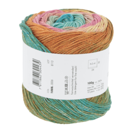 Lang Yarns Quattro dégradé, kleur 6