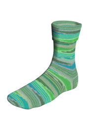 LY Super soxx kleur 413