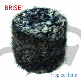 Brisé