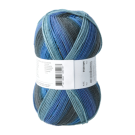 Twin Soxx 4ply | 555 Ocean