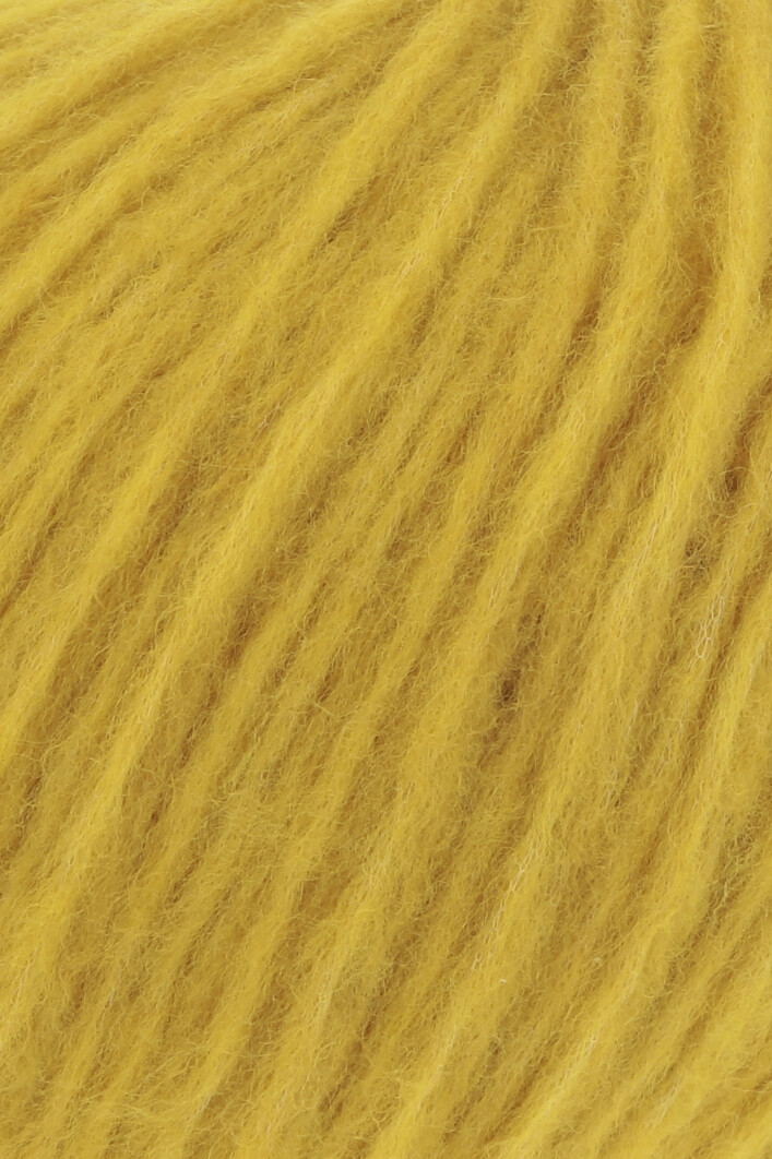 WA Promise kleur 50