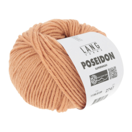 Lang Yarns Poseidon, kleur 159
