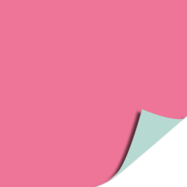 70cm cadeaupapier Uni Roze Mint