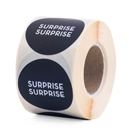 Sticker Surprise surprise (10 stuks)