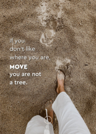 Mini kaart a7 | If you don't like where you are MOVE you are not a tree