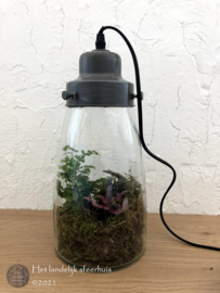 Mooie en decoratieve tafellamp "Growpot"