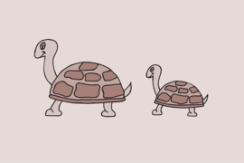 Schildpadden Terracotta
