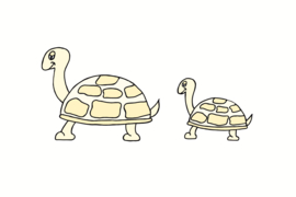 Schildpadden Zacht Geel