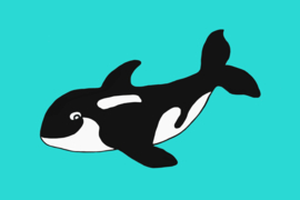 Orka Turquoise