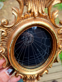Vintage lijstje met spinnenweb 6