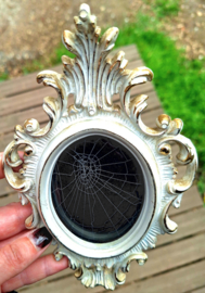 Vintage lijst met spinnenweb 5