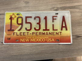 Amerika, New Mexico, 19531A
