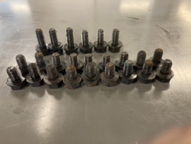 set van 24 boutjes carterpan slant six