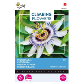 Buzzy® Climbing Flowers, Passiebloem Blauw