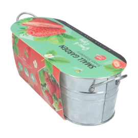 Buzzy® Small Garden Sweet Strawberry