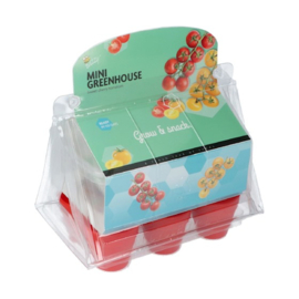Buzzy® Mini Greenhouse Sweet Cherry Tomatoes