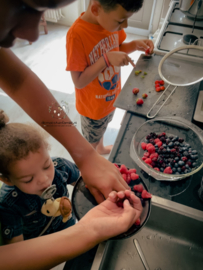 Zelf bosvruchten jam maken met de kinderen - 7 augustus 2022