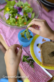 18-09-2022 - Gastblog Jelka / Groener Groeien - Moestuin lessen en natuurbeleving op school