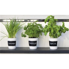 Buzzy® Chalkboard pots (BIO)