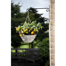 Buzzy® Happy Garden, Hanging Basket Tomaat