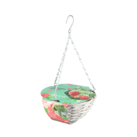 Buzzy® Hanging Basket Aardbei