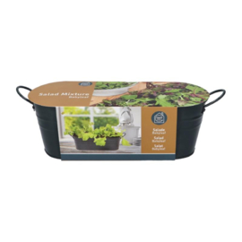 Buzzy® Antraciet Teiltje Baby leaf Salad