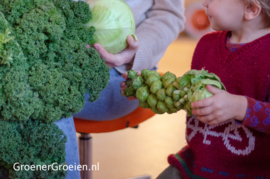 18-09-2022 - Gastblog Jelka / Groener Groeien - Moestuin lessen en natuurbeleving op school