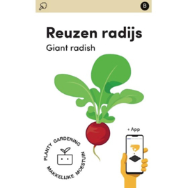 Makkelijke Moestuin Radijs Riesenbutter