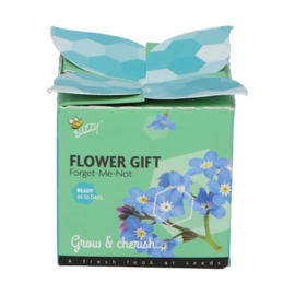 Flower Gift - Vergeet me niet