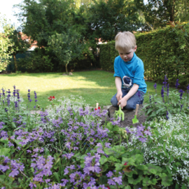 Kindergereedschapset 3 delig groen