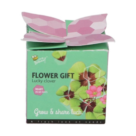 Flower Gift - Klavertje 4