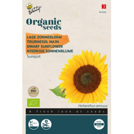 Buzzy® Organic Helianthus, Lage zonnebloem Sunspot (BIO)