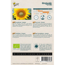 Buzzy® Organic Helianthus, Lage zonnebloem Sunspot (BIO)