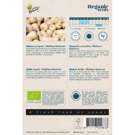 Buzzy® Organic Eetbare Pompoen Waltham Butternut (BIO)
