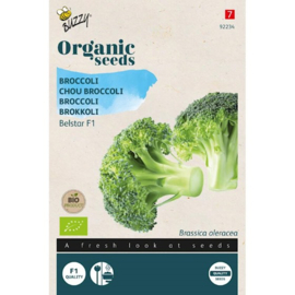 Buzzy® Organic Broccoli Belstar F1 (BIO)